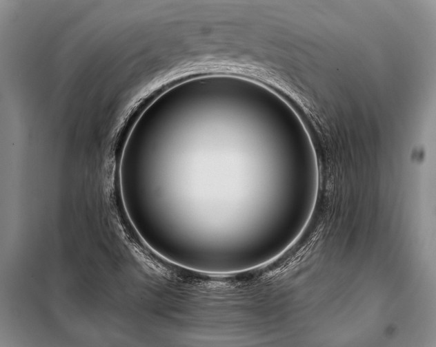 X0000101171507200806271021