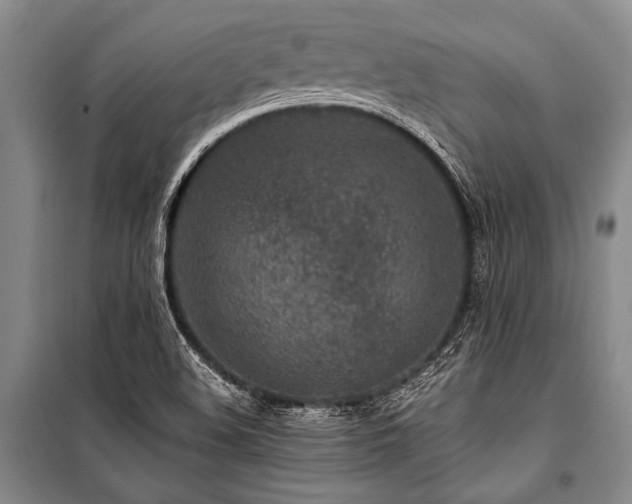 X0000101171508200806271021