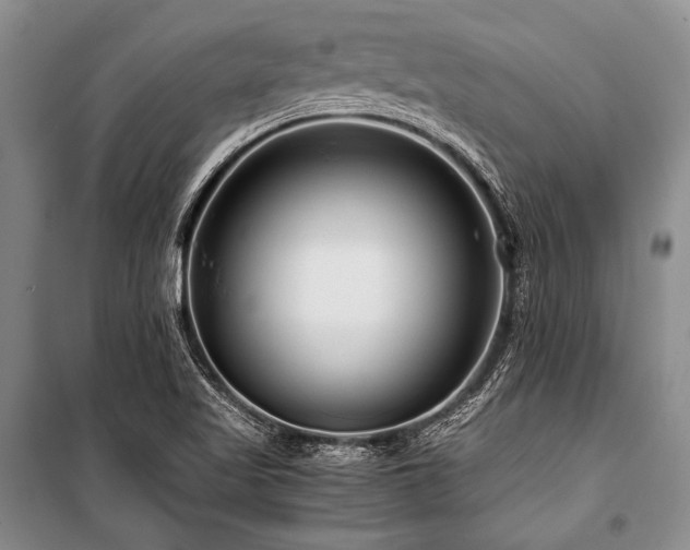 X0000101171509200806271021