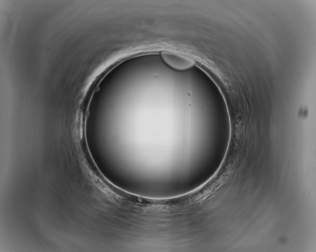 X0000101171510200806271021
