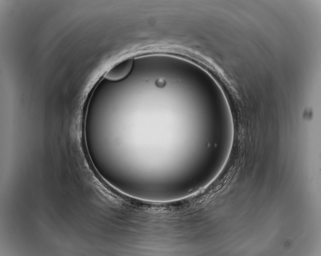 X0000101171512200806271021