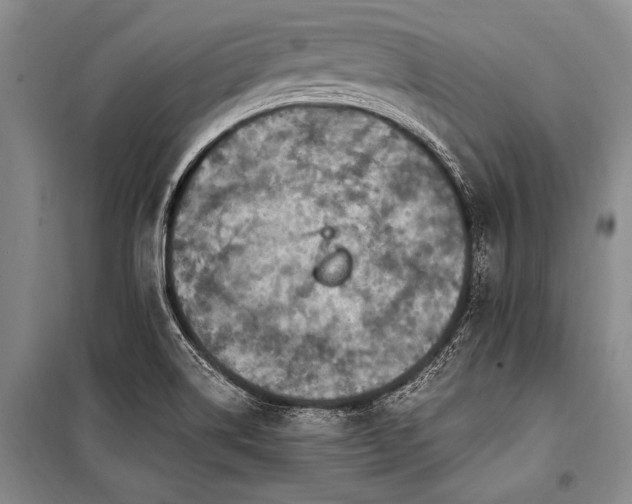X0000101171514200806271021