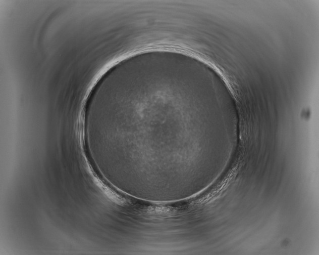X0000101171515200806271021