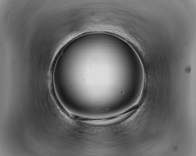 X0000101171517200806271021