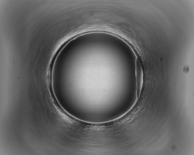 X0000101171519200806271021