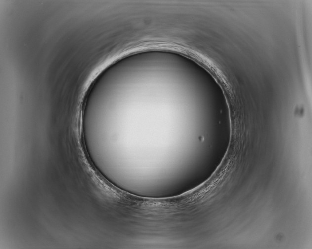 X0000101171520200806271021