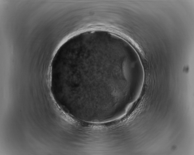 X0000101171522200806271021