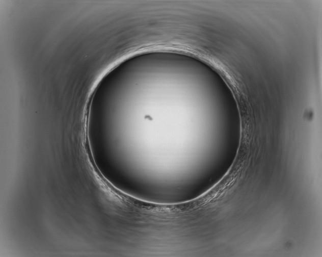 X0000101171524200806271021