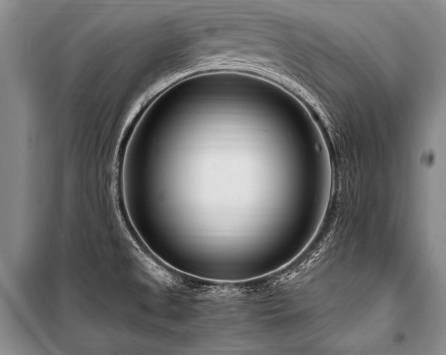 X0000101171525200806271021