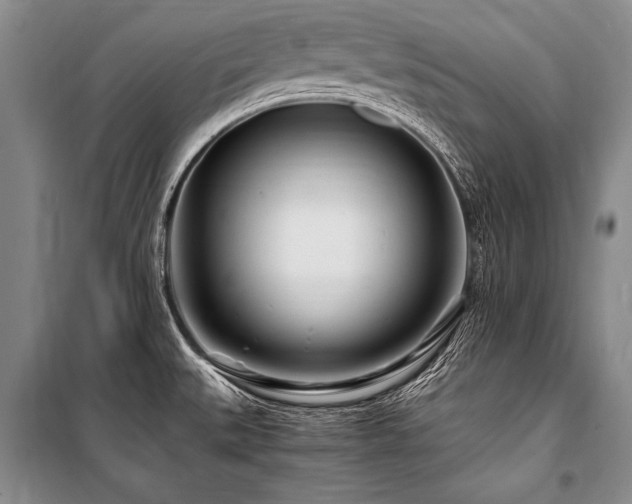 X0000101171527200806271021