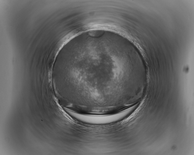 X0000101171529200806271021