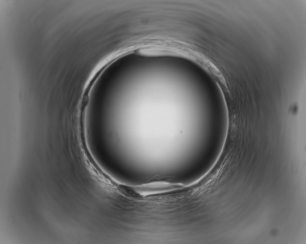 X0000101171530200806271021