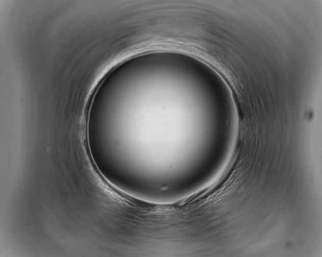 X0000101171531200806271021