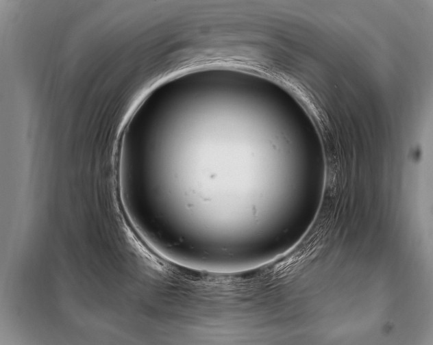 X0000101171532200806271021