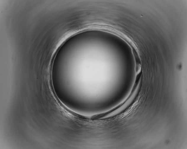 X0000101171533200806271021