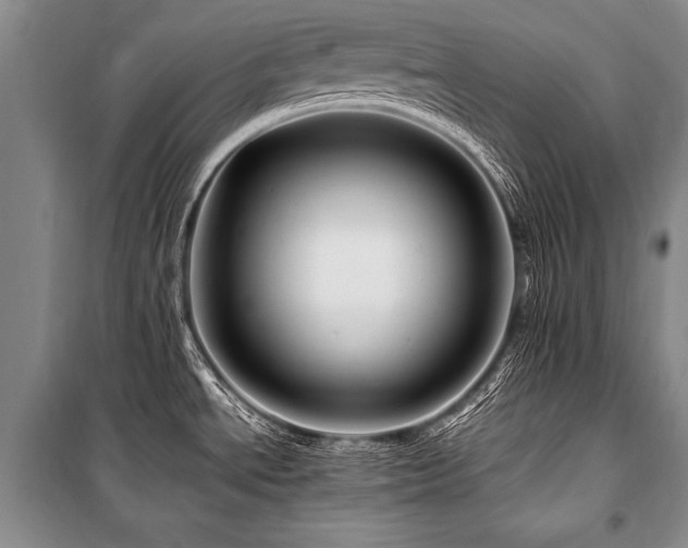 X0000101171534200806271021