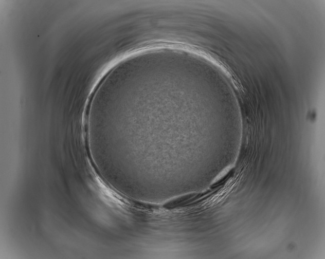 X0000101171535200806271021