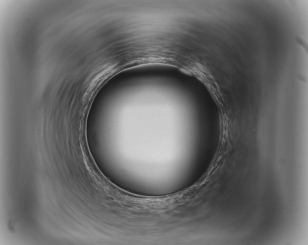 X0000101170001200807071232