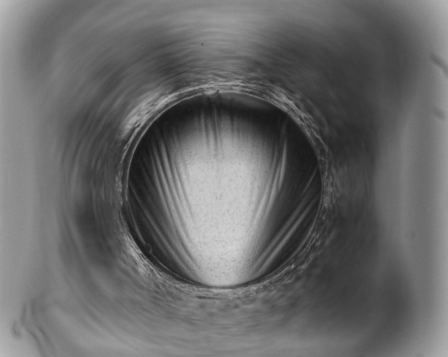 X0000101170002200807071232