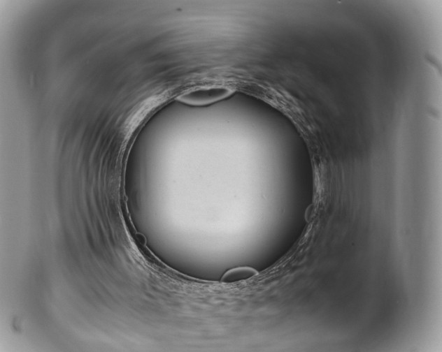 X0000101170003200807071232