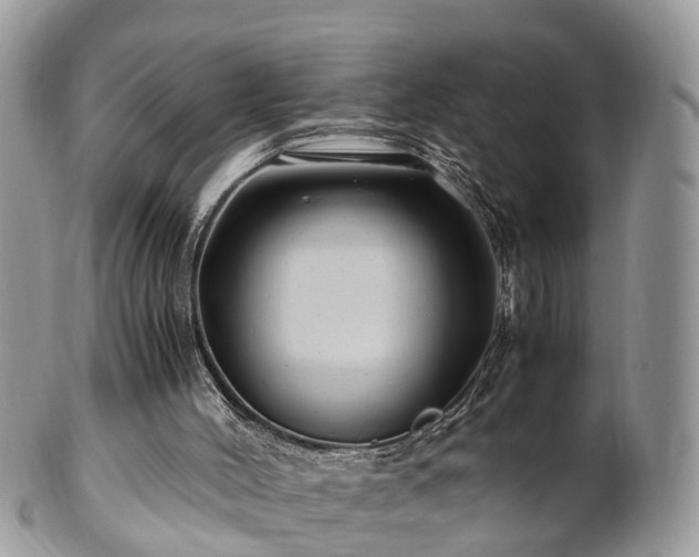 X0000101170004200807071232