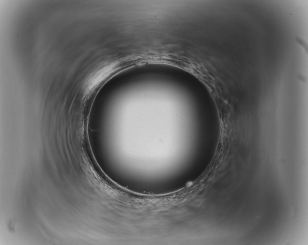 X0000101170005200807071232