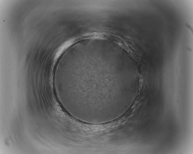 X0000101170006200807071232
