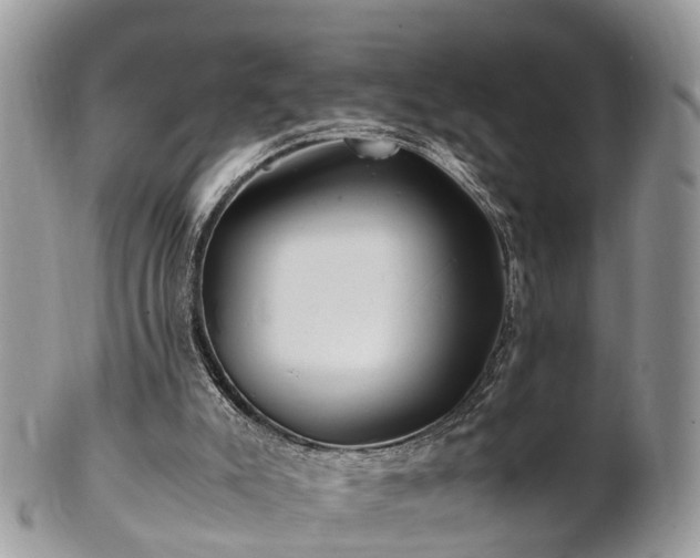 X0000101170007200807071232