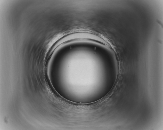 X0000101170008200807071232