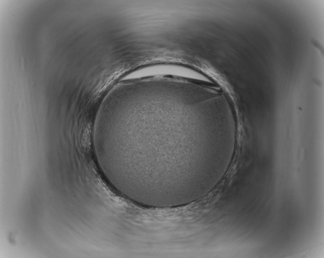 X0000101170009200807071232