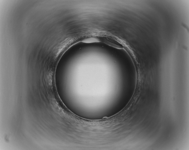 X0000101170010200807071232