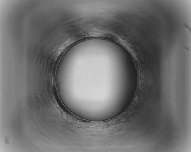 X0000101170011200807071232