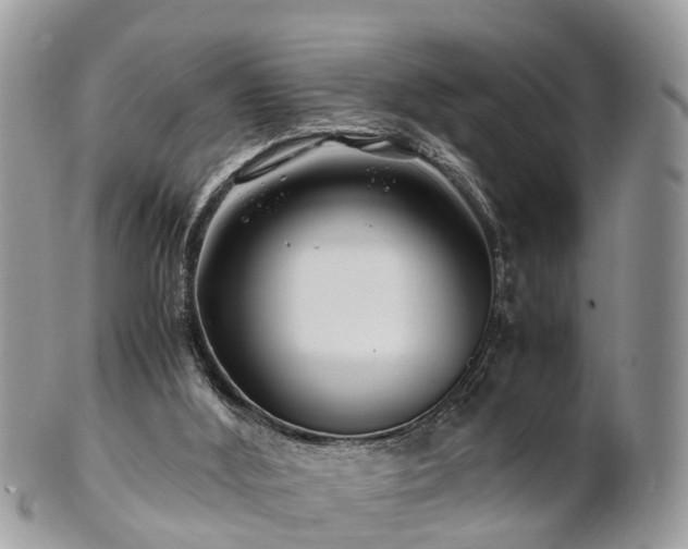 X0000101170012200807071232