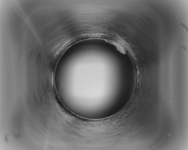 X0000101170013200807071232