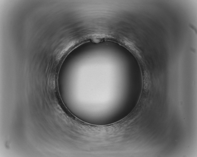 X0000101170015200807071232