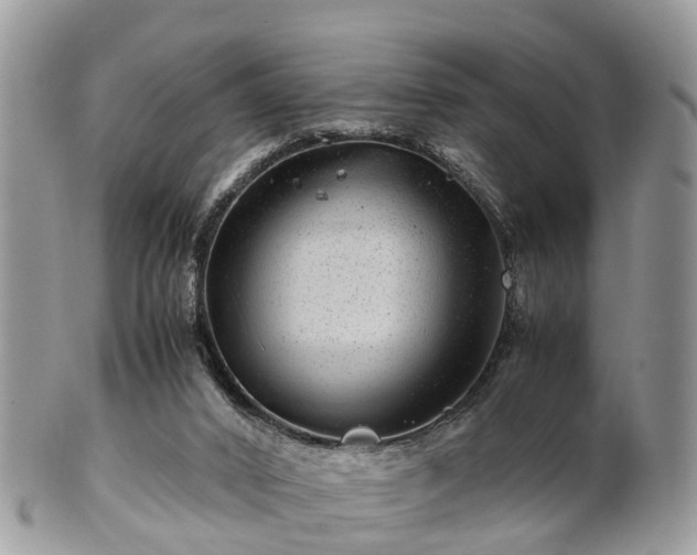 X0000101170016200807071232