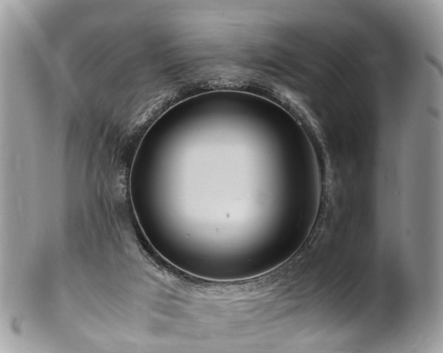 X0000101170017200807071232