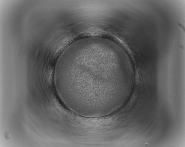 X0000101170018200807071232