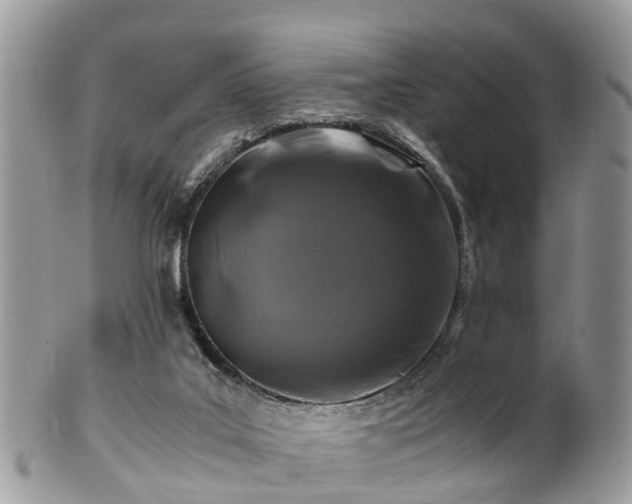X0000101170019200807071232