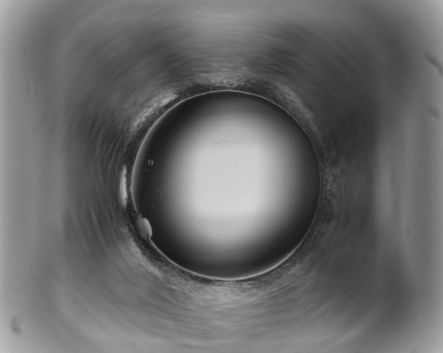 X0000101170020200807071232