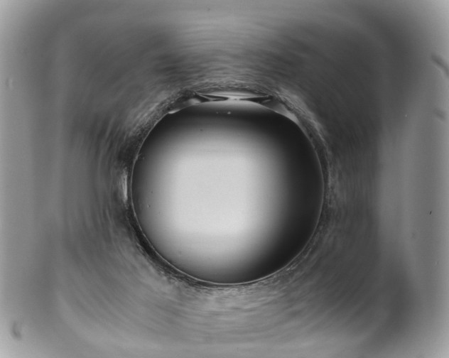 X0000101170021200807071232
