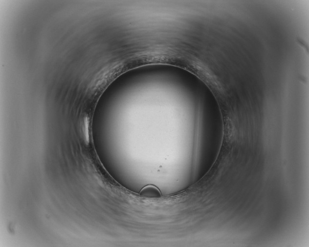 X0000101170022200807071232