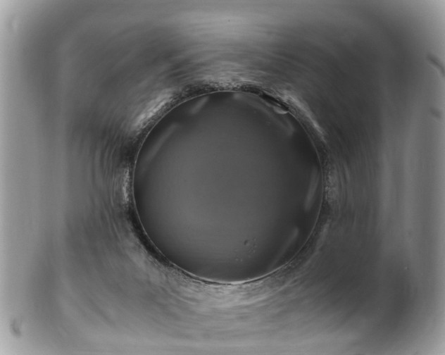 X0000101170023200807071232