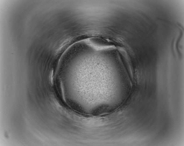 X0000101170024200807071232