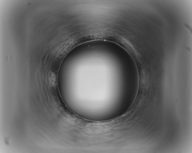 X0000101170025200807071232