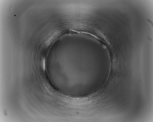 X0000101170027200807071232