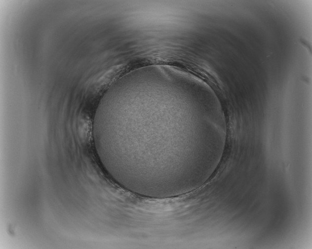 X0000101170029200807071232