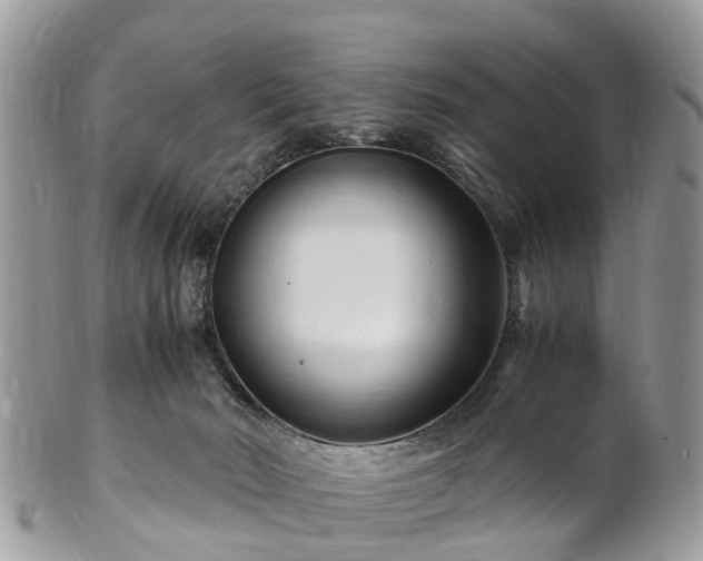 X0000101170030200807071232
