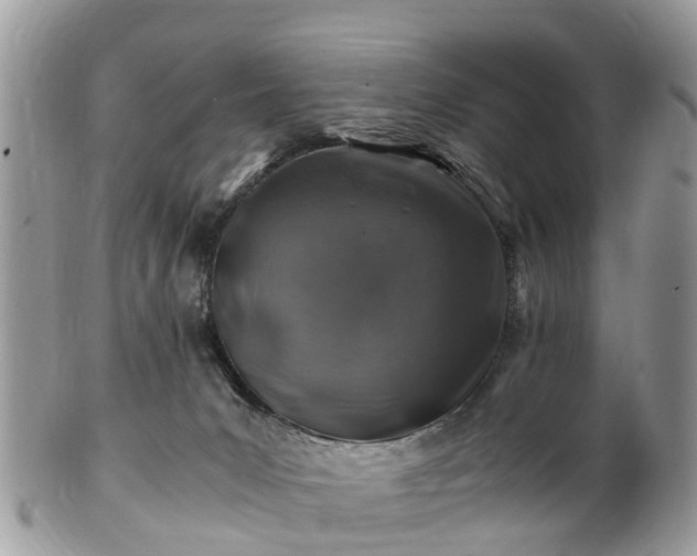 X0000101170031200807071232