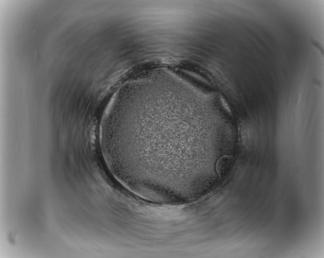 X0000101170032200807071232
